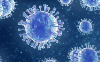 Coronavirus : point sur les RHT
