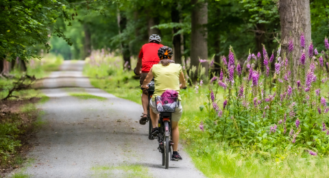Vélo loisirs